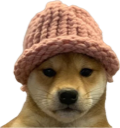 Dogwifhat